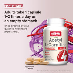 Jarrow Formulas Acetyl L-Carnitine packaging on countertop; tidy brain-support routine.