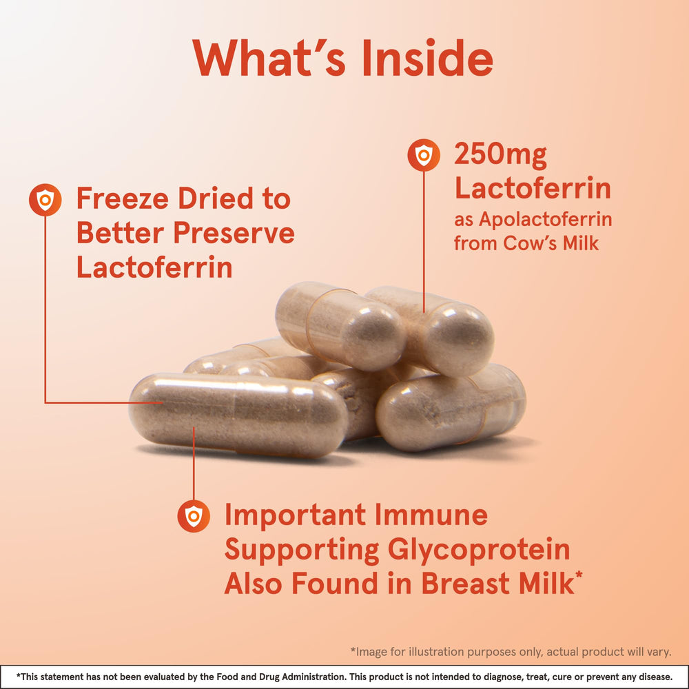 Freeze-dried lactoferrin capsule suggesting preserved potency for immune modulation
