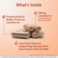 Freeze-dried lactoferrin capsule suggesting preserved potency for immune modulation