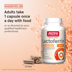 Jarrow Formulas Lactoferrin supports a daily immune routine.