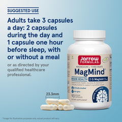 MagMind science infographic illustrating brain access via magnesium L-threonate