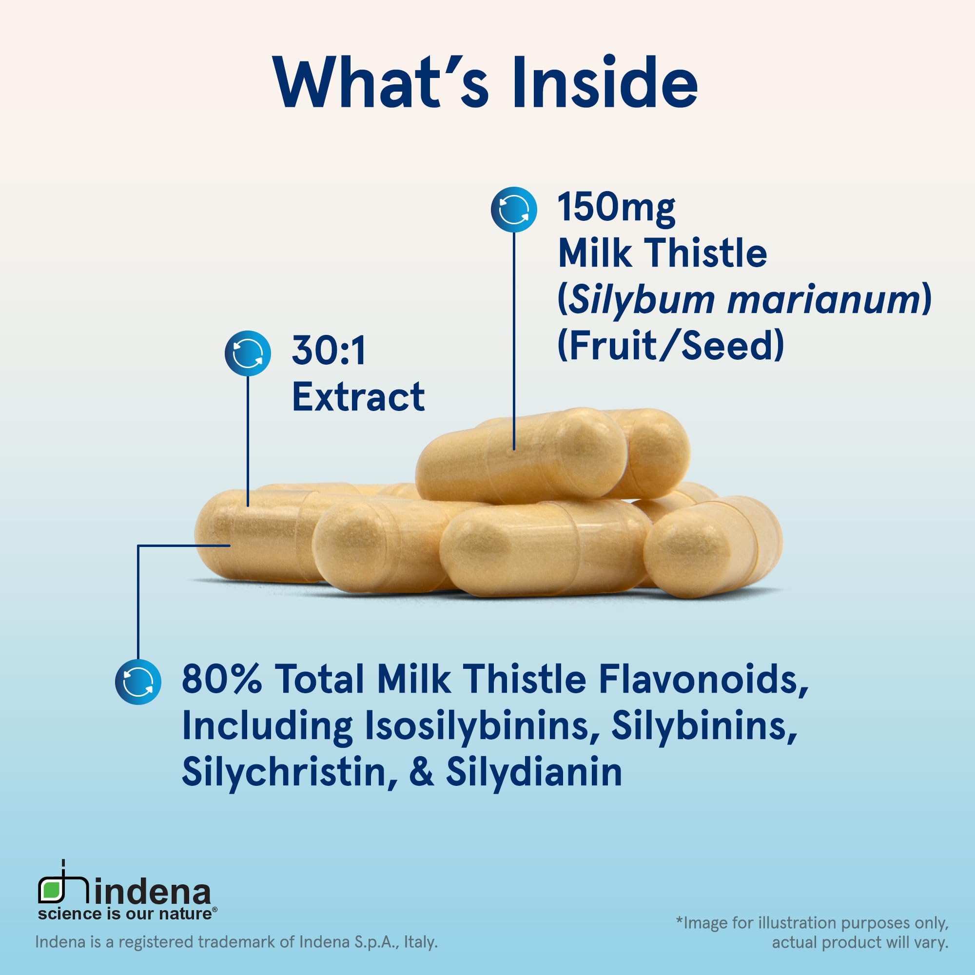 Jarrow Formulas 30:1 extract close-up emphasizes standardized silymarin for liver function support.
