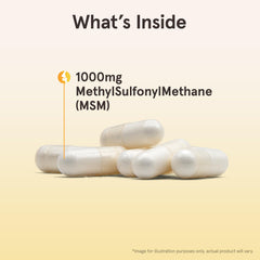 MSM bottle label highlights sulfur source for connective tissue.