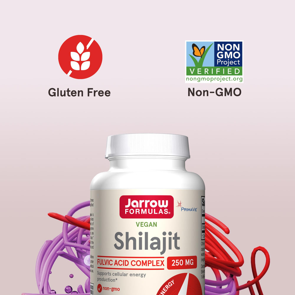 Graphic showing Co-Q10 synergy with Shilajit for mitochondria.