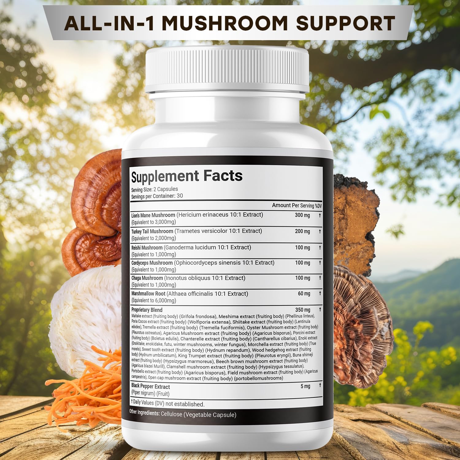 JB Wellness Co Turkey Tail capsules in bottle for immune-friendly routines