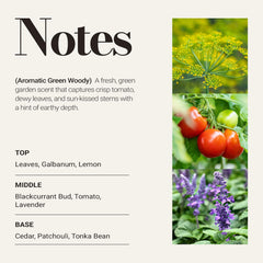 JCloud Galbanum Tomato Patchouli essence adds lush, inviting ambiance to any room.