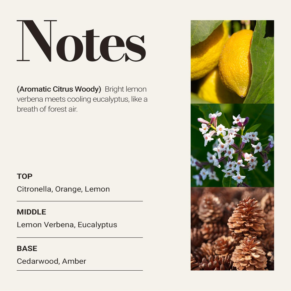 JCLOUD Pine Eucalyptus close-up highlights premium diffuser oil for refined spaces.