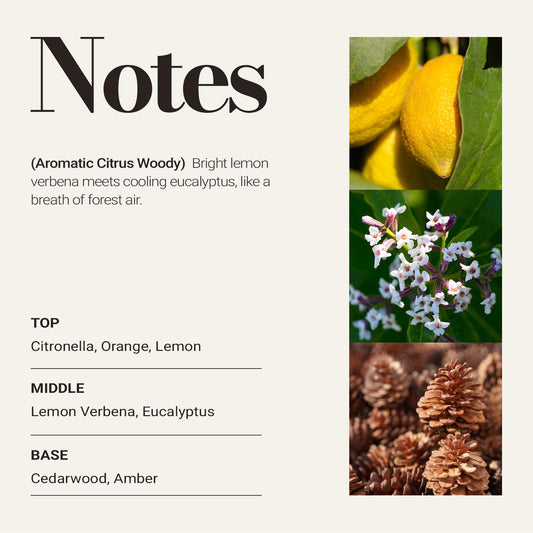 JCLOUD Pine Eucalyptus close-up highlights premium diffuser oil for refined spaces.
