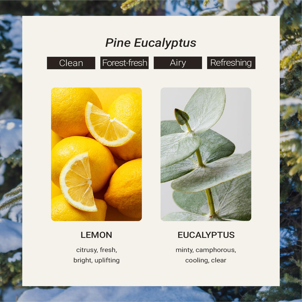 JCLOUD Pine Eucalyptus in diffusers delivers a long-lasting, inviting aroma for bedrooms.