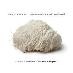 Jetsu Pure 7 Mushroom Powder smoothie blend for convenient daily nutrition