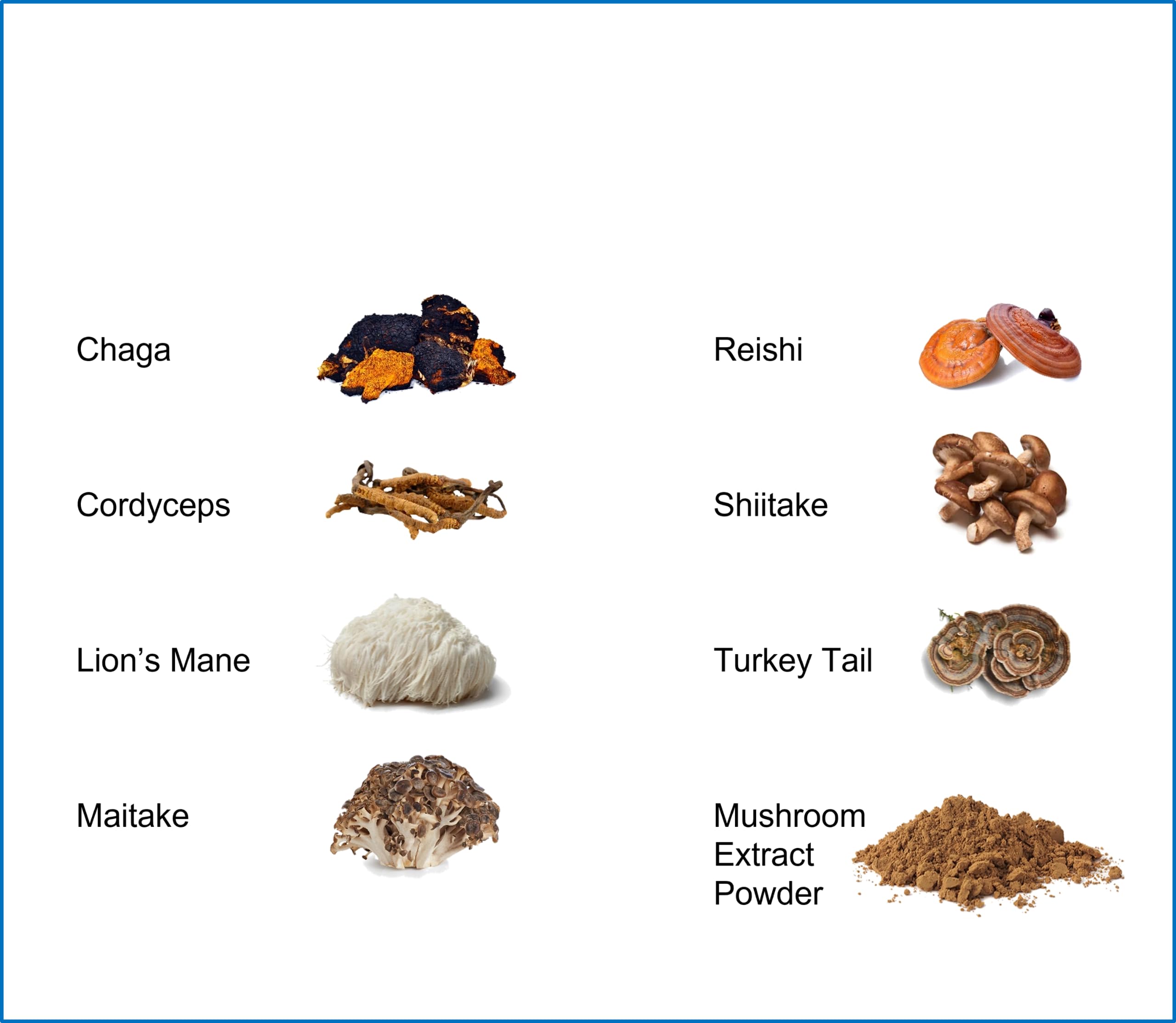 Jetsu Pure 7 Mushroom Powder tea-ready mix adding immune-supporting richness