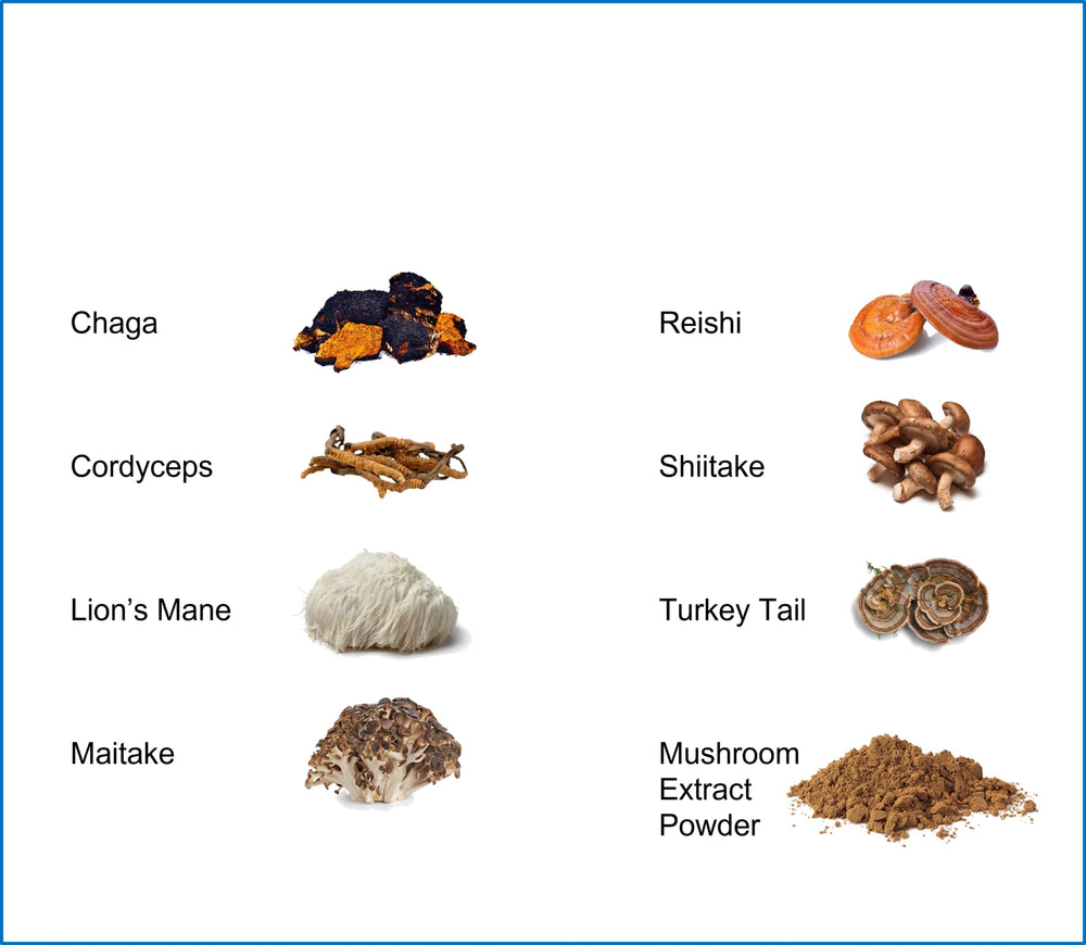Jetsu Pure 7 Mushroom Powder tea-ready mix adding immune-supporting richness