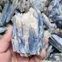 JIC Gem blue kyanite with growth marks offers a rustic, authentic mineral display.