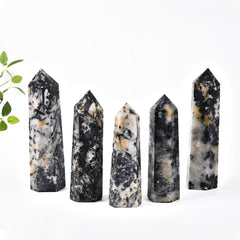 JIC Gem black tourmaline with quartz guards against negativity in spaces.