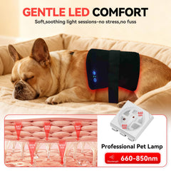 JIESENWEI infrared belt with extendable strap for versatile therapy areas