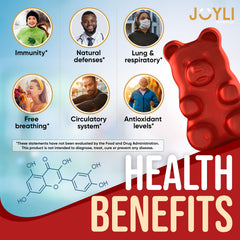 JOYLI Nutrition Quercetin Gummies bottle back with nutrition details