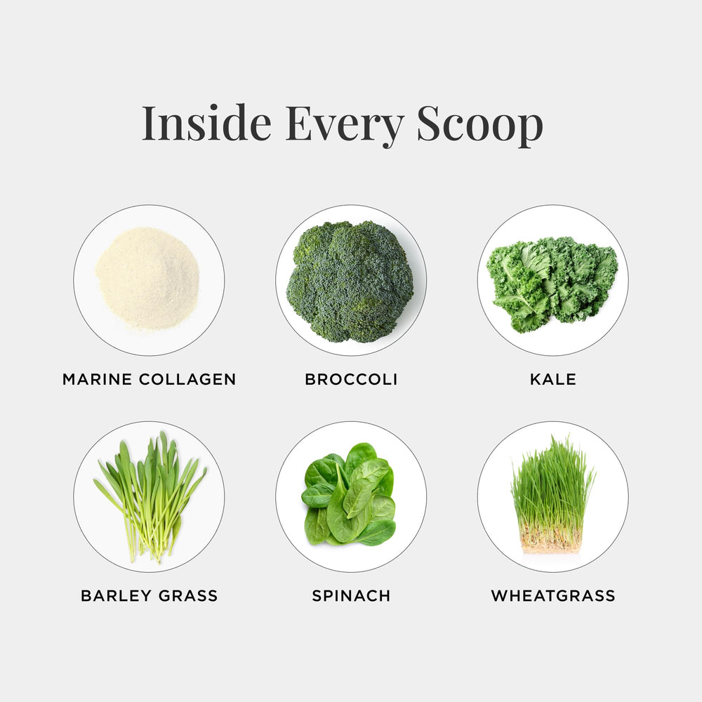 JSHealth Super Greens scoop measuring 6.5 g for easy daily serving.