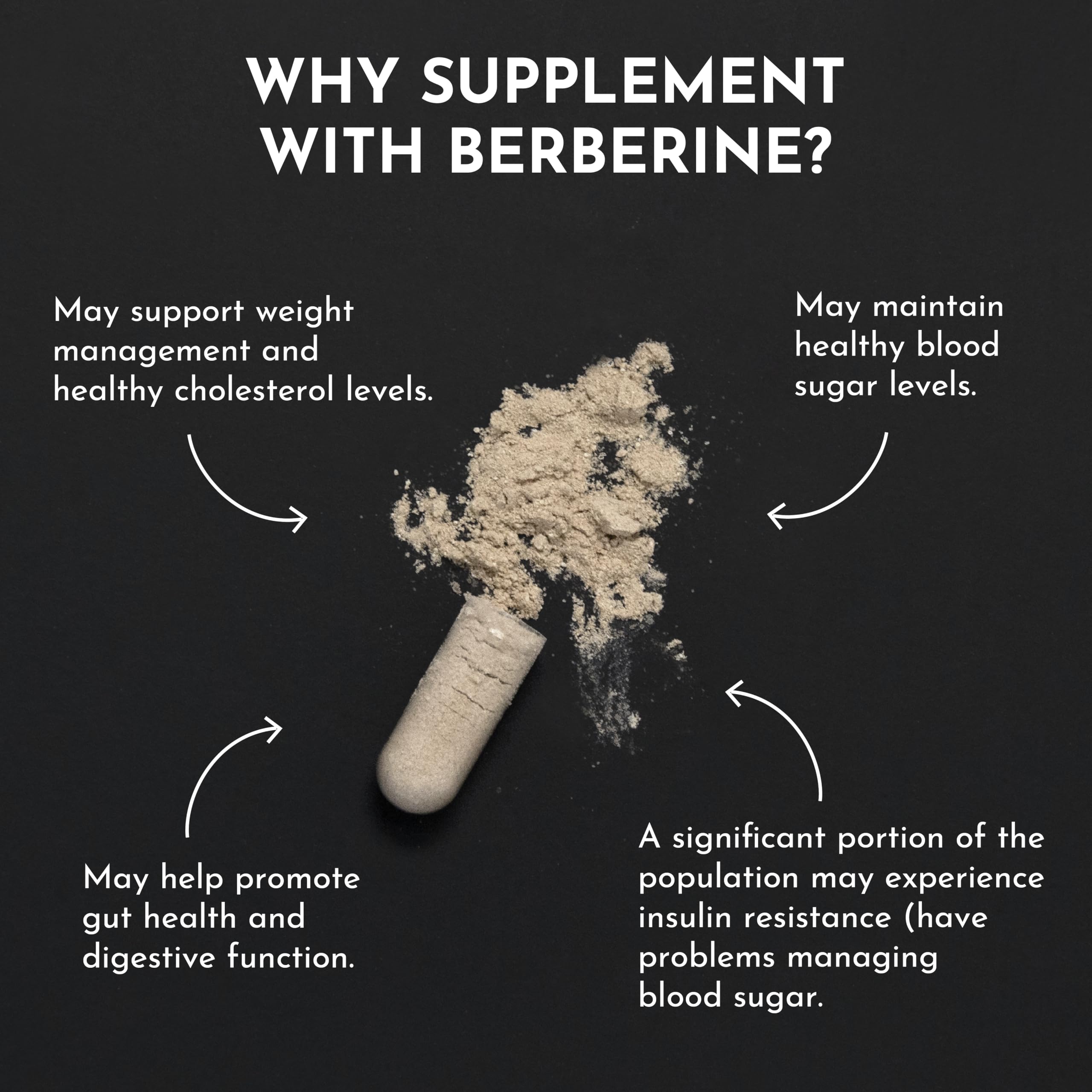 JUST INGREDIENTS Berberine label ingredients featuring organic berberine and transparent sourcing