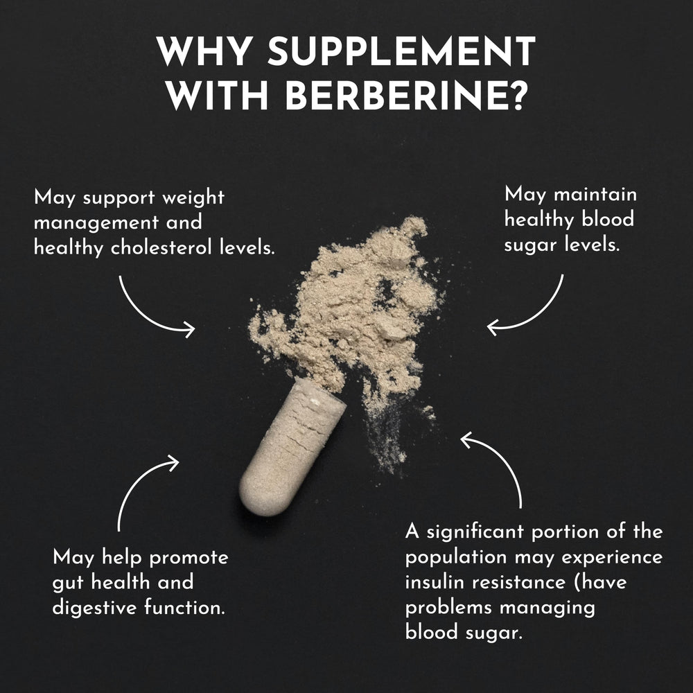 JUST INGREDIENTS Berberine label ingredients featuring organic berberine and transparent sourcing