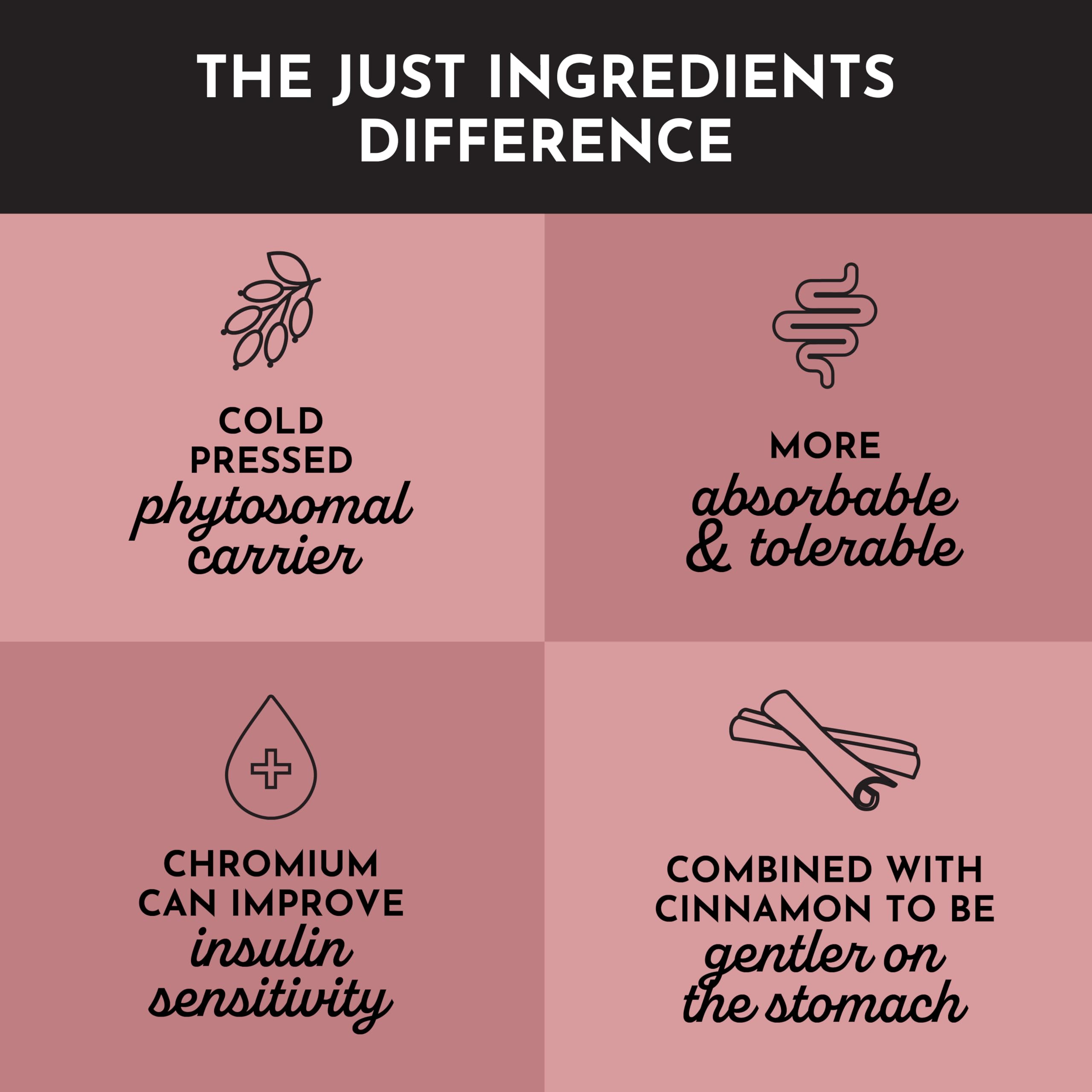 JUST INGREDIENTS Berberine organic Ceylon cinnamon capsule emphasizing traditional metabolic balance
