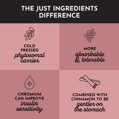 JUST INGREDIENTS Berberine organic Ceylon cinnamon capsule emphasizing traditional metabolic balance