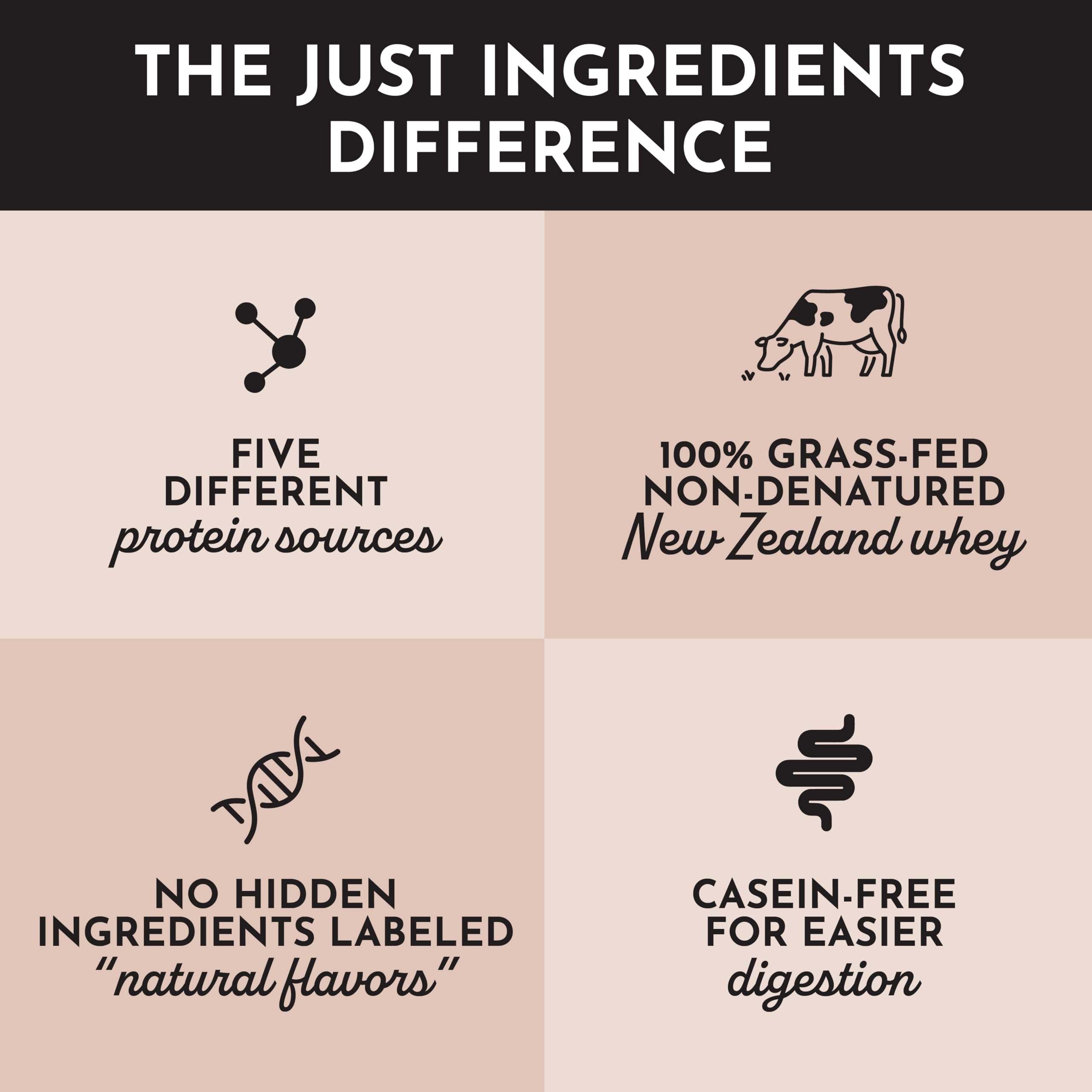 Just Ingredients Chocolate Protein Powder recipe-card suggests convenient snack options