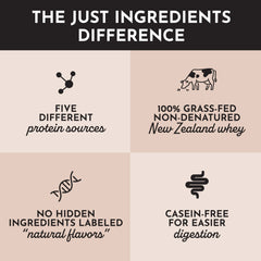 Just Ingredients Chocolate Protein Powder recipe-card suggests convenient snack options