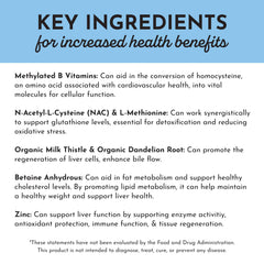 JUST INGREDIENTS Methylated B Complex daily use packaging suggesting routine wellness benefits