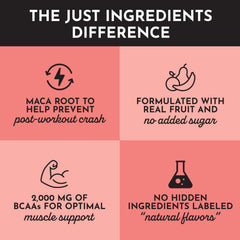 Just Ingredients Guava Mango shake post-mix with refreshing aroma