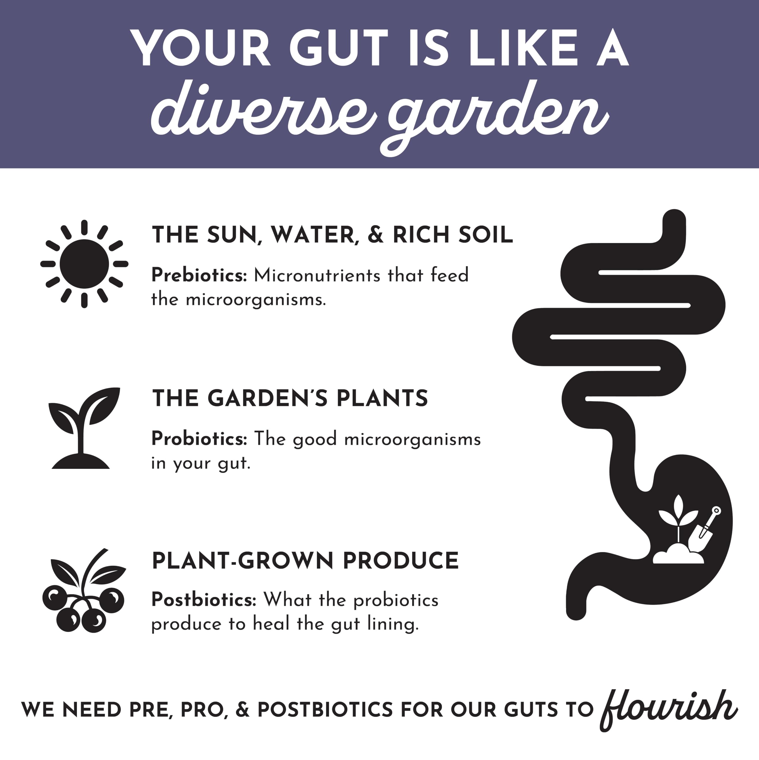 JUST INGREDIENTS inulin prebiotic scoop with probiotic blend for gut health.