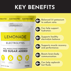 JUST INGREDIENTS Lemonade Electrolytes on-the-go bottle demonstrates convenient hydration anywhere.