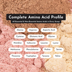 JUST INGREDIENTS Mint Chocolate packaging on shelf signals clean, gluten-free and soy-free formula