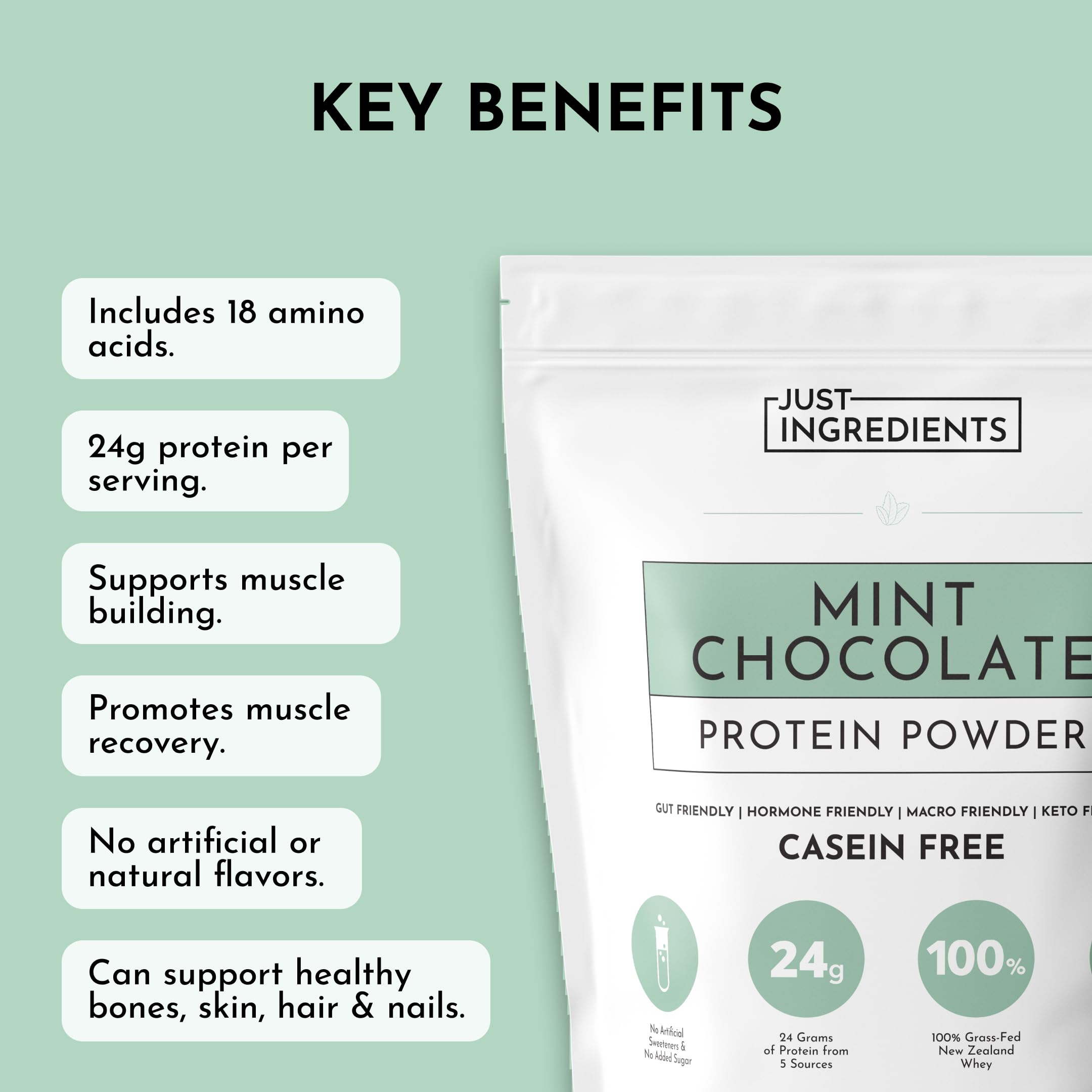 JUST INGREDIENTS Mint Chocolate Protein Ingredients panel highlights clean labels.