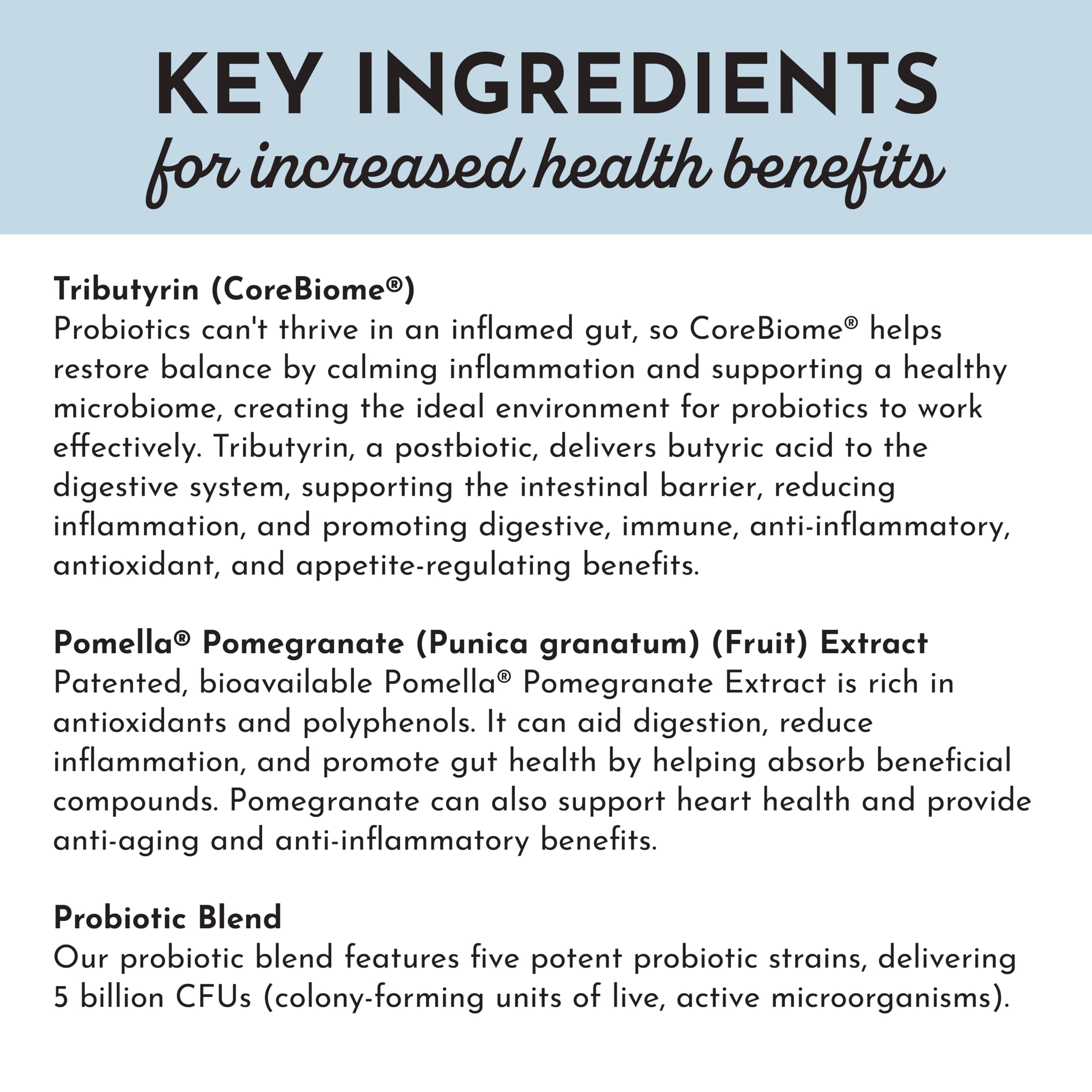 JUST INGREDIENTS Probiotic Complex lifestyle icons show digestive comfort and immune support possibilities.