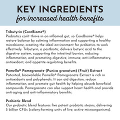 JUST INGREDIENTS Probiotic Complex lifestyle icons show digestive comfort and immune support possibilities.