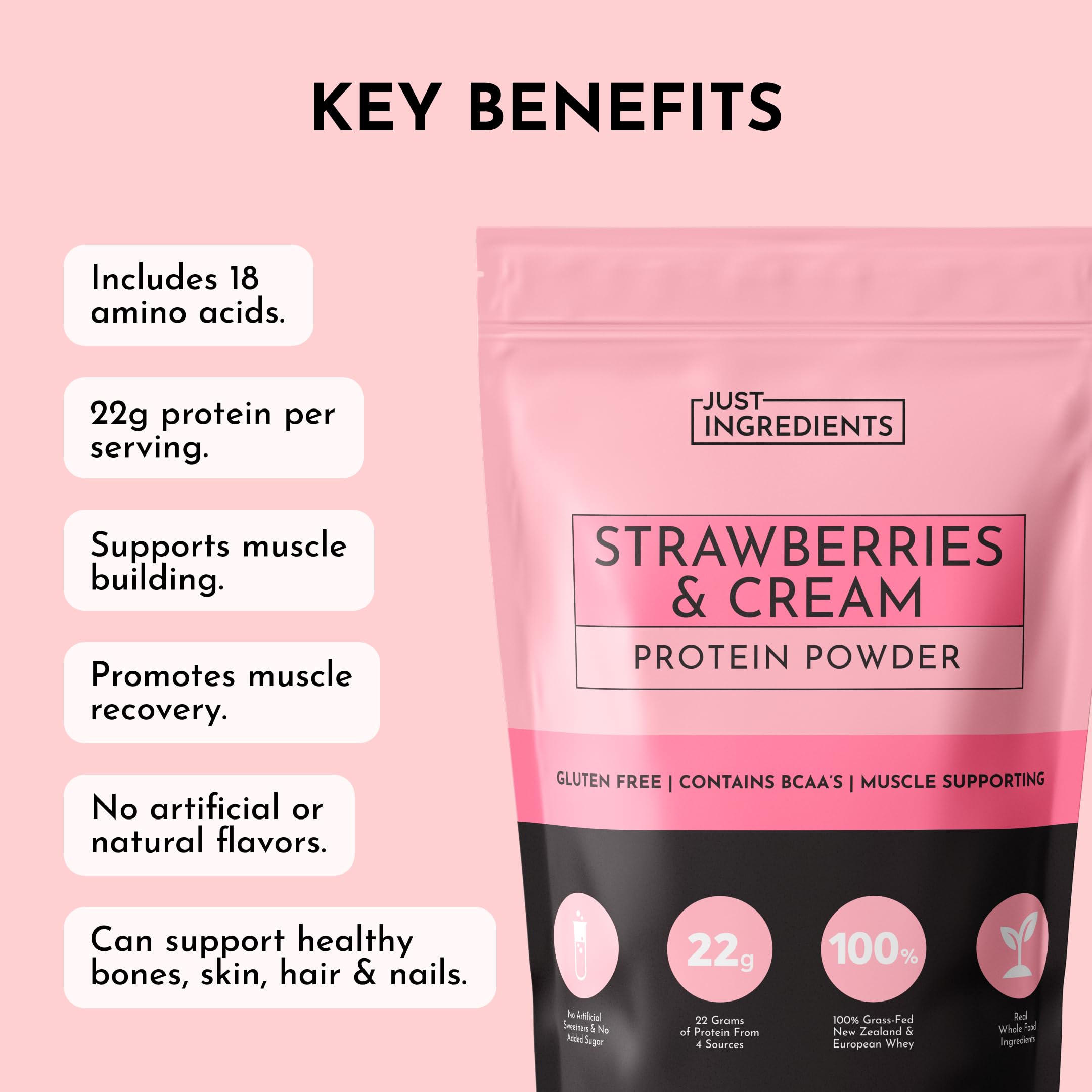 JUST INGREDIENTS Strawberries & Cream powder serving scoop for precise portions