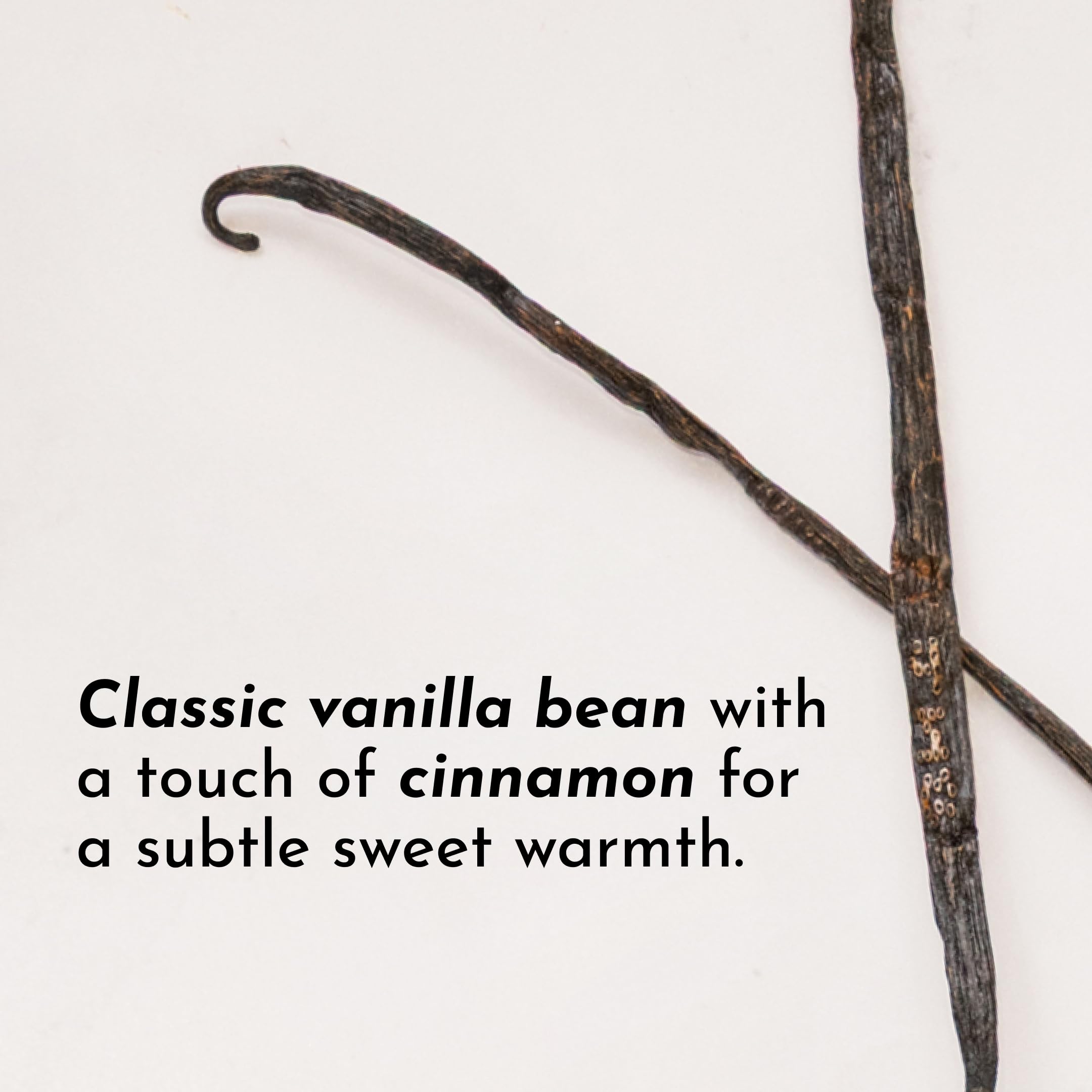 JUST INGREDIENTS smoothie glass shows creamy texture and natural sweetness