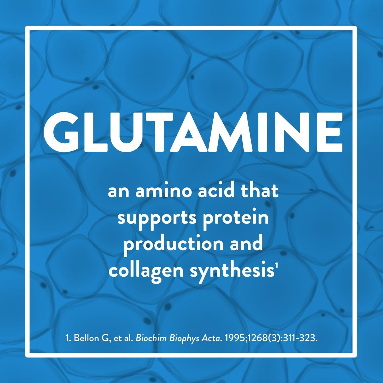 Juven amino acids arginine and glutamine support circulation and protein synthesis