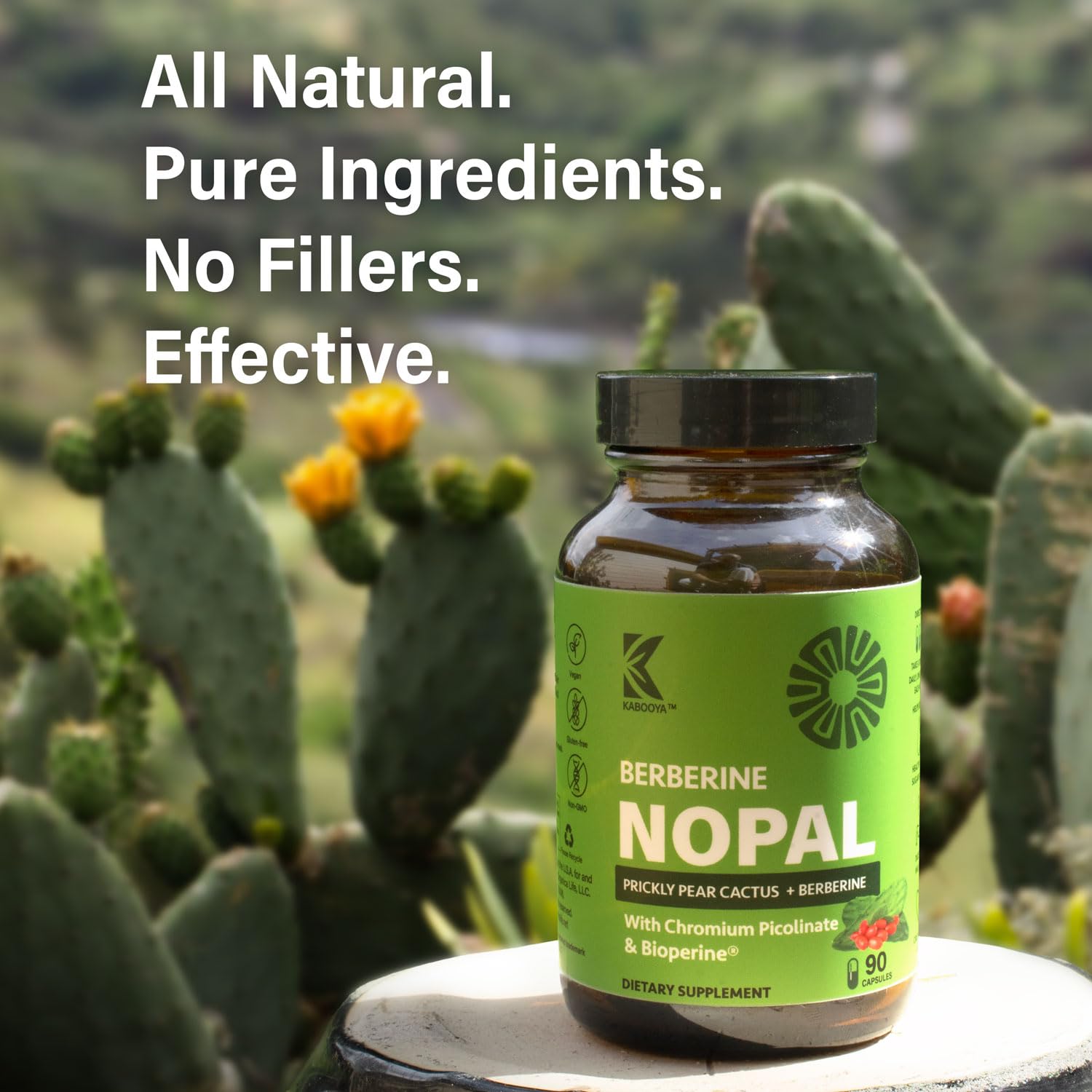 Kabooya Berberine Nopal capsules pour demonstrating easy daily use and quick absorption benefits.