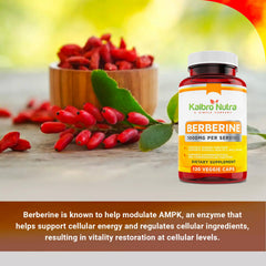 Kaibro Nutra Berberine made-in-USA stamp supports GMP production