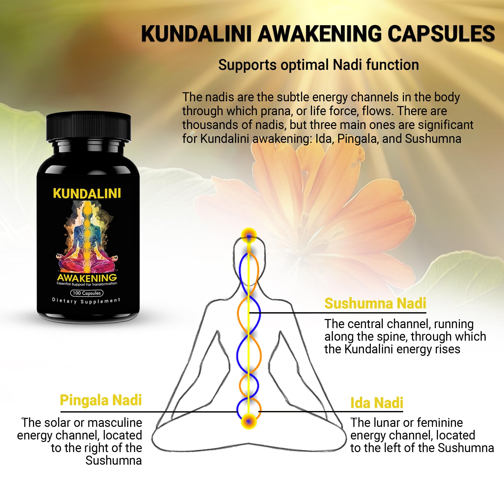 Kailash Herbals Ashwagandha and Tulsi ingredients shown in blend.