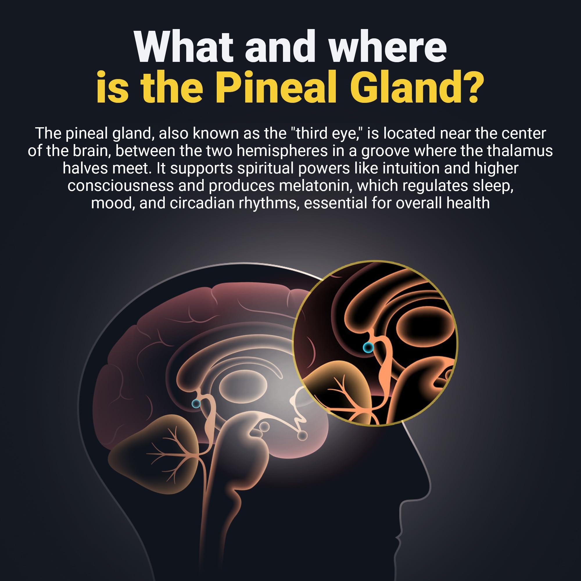 Kailash Herbals haritaki turmeric capsules beside prayer beads.