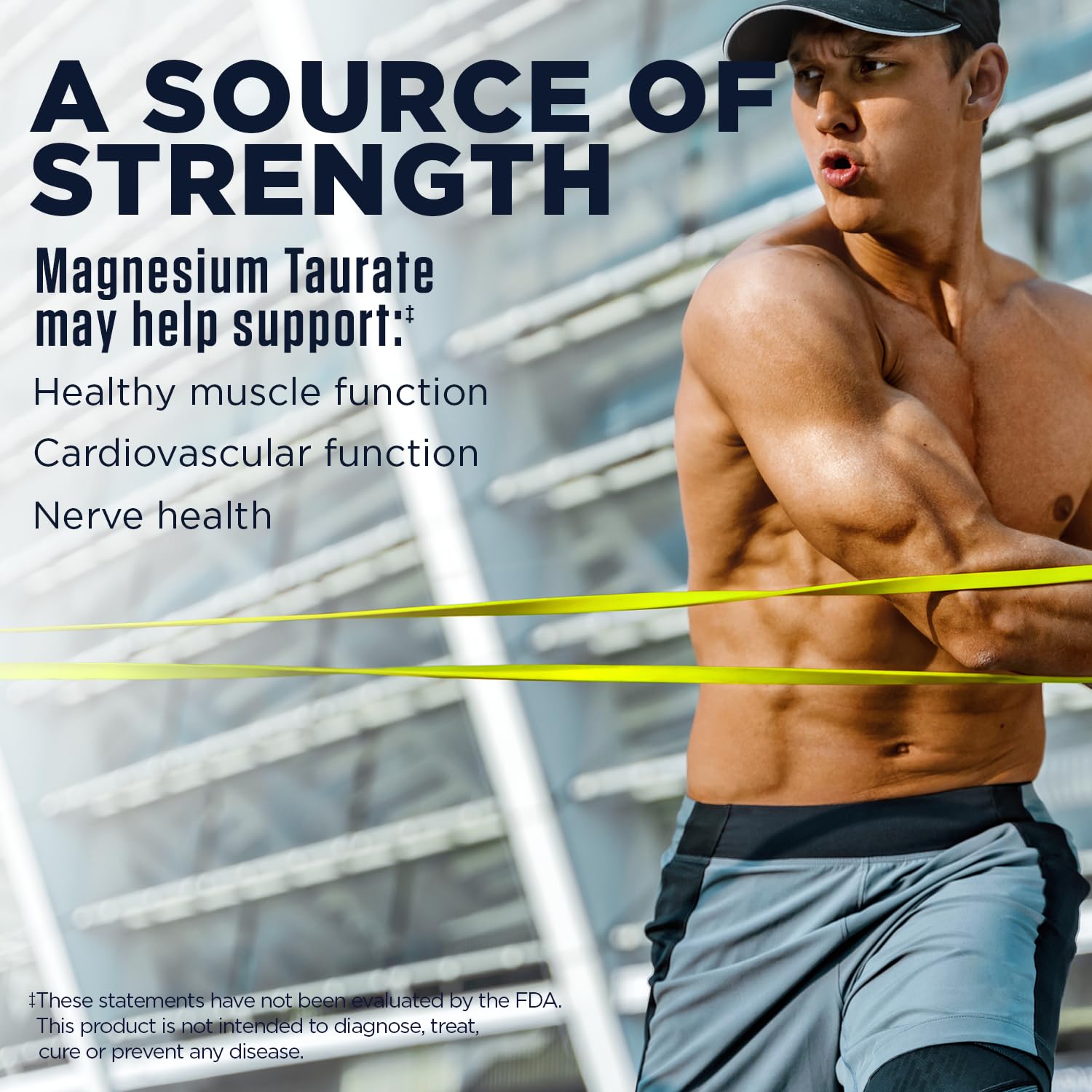 KAL Magnesium Taurate Plus ActiSorb base image illustrating absorption aid.