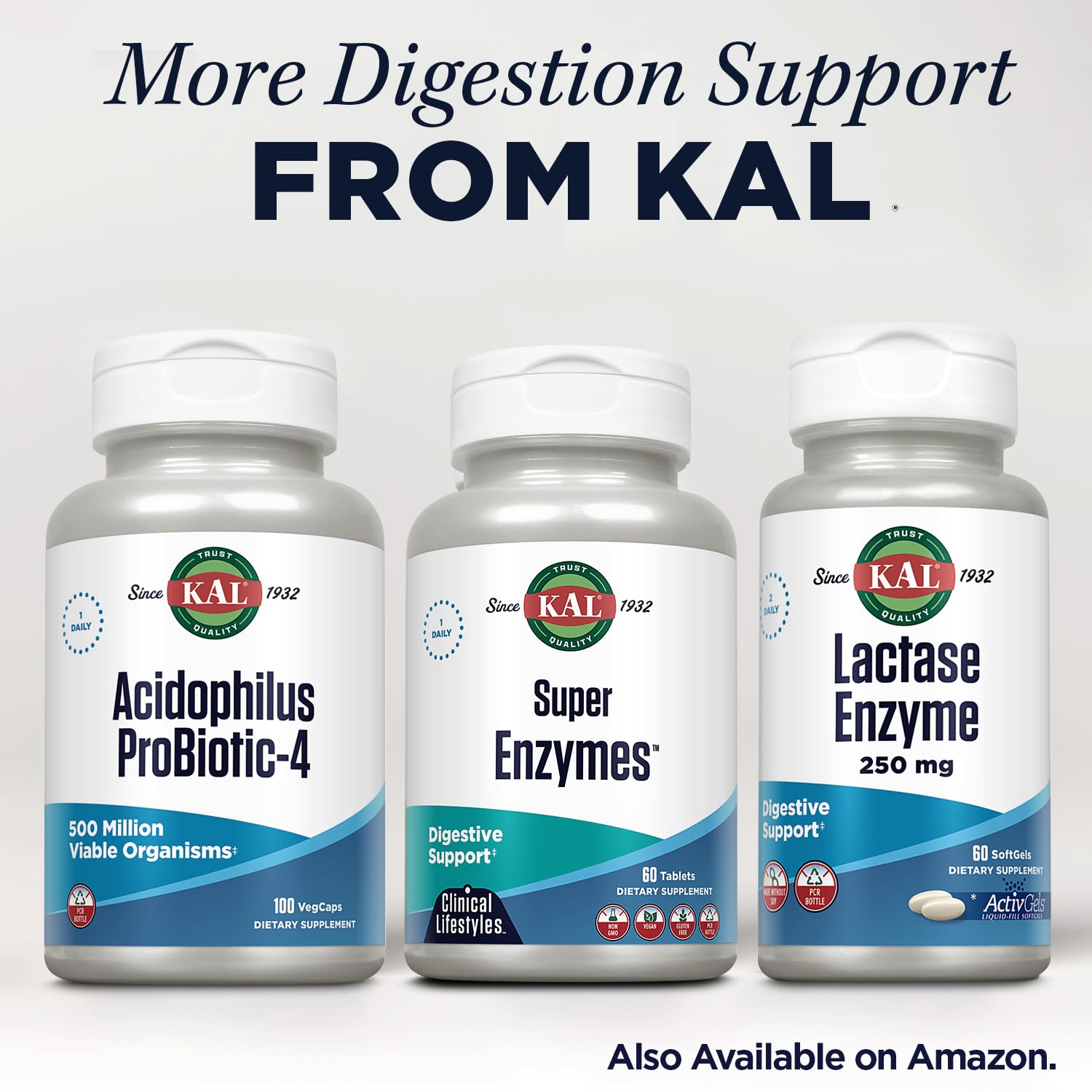 KAL Super Enzymes ingredients illustration emphasizes ginger, fennel, peppermint benefits.