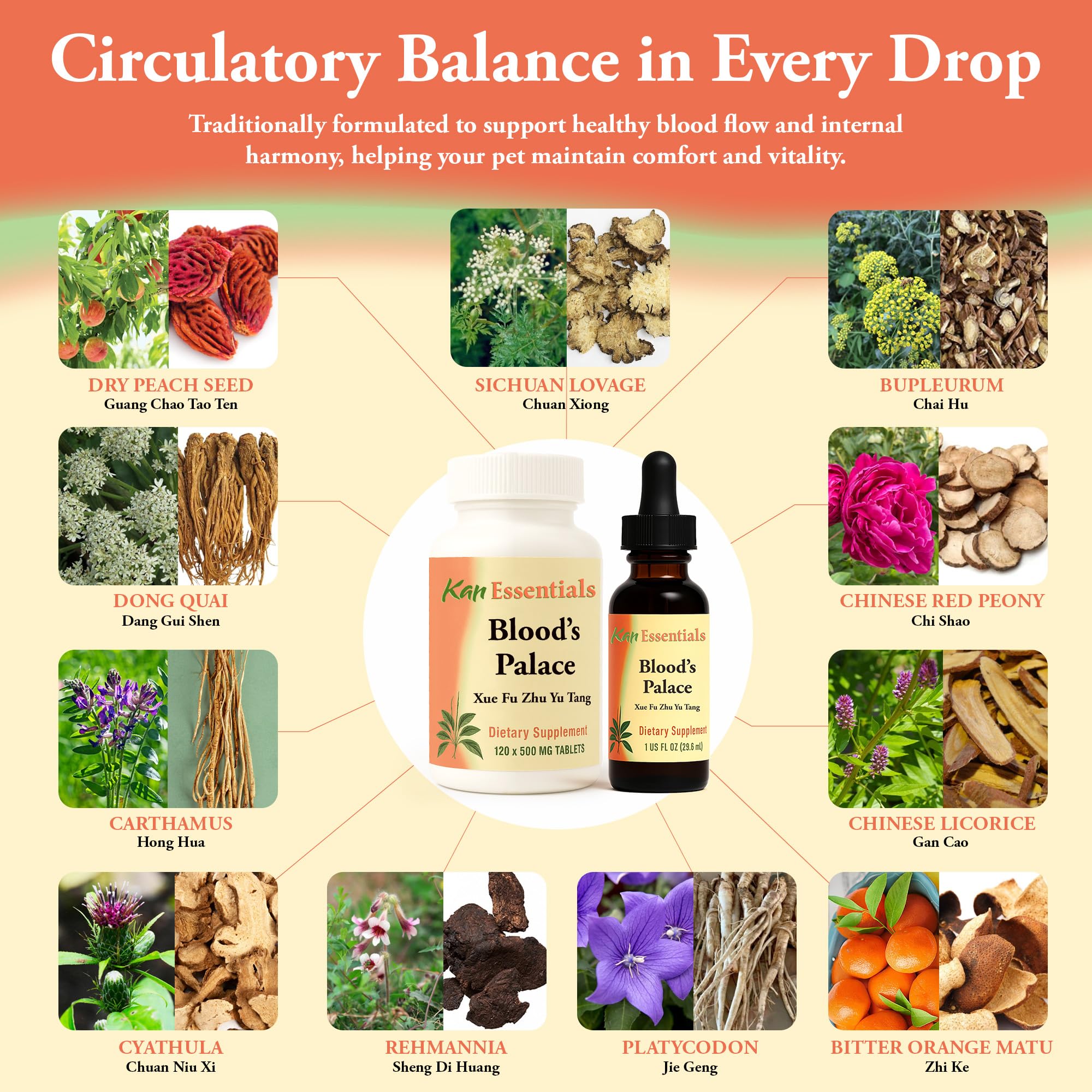 Bloods Palace tin packaging emphasizes plant-based care and Liver Qi support.