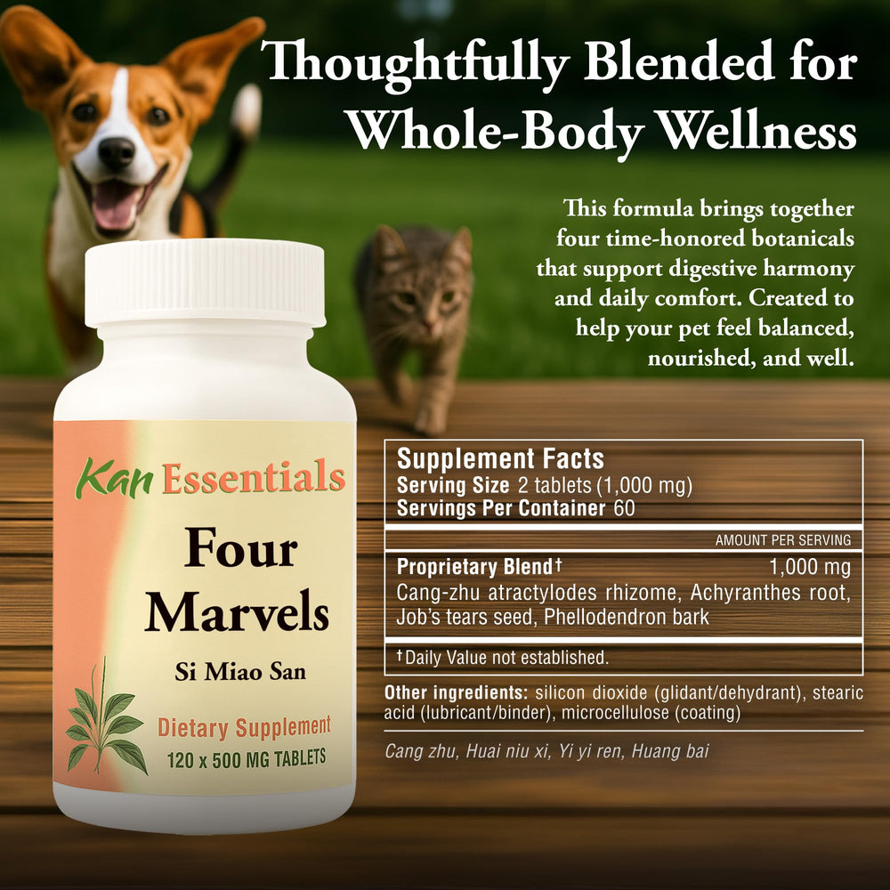 Dog receiving a Kan Herb Four Marvels tablet illustrating easy daily dosing.