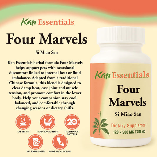 Kan Herb Four Marvels tablets close-up showcases natural herbal formula for wellness.