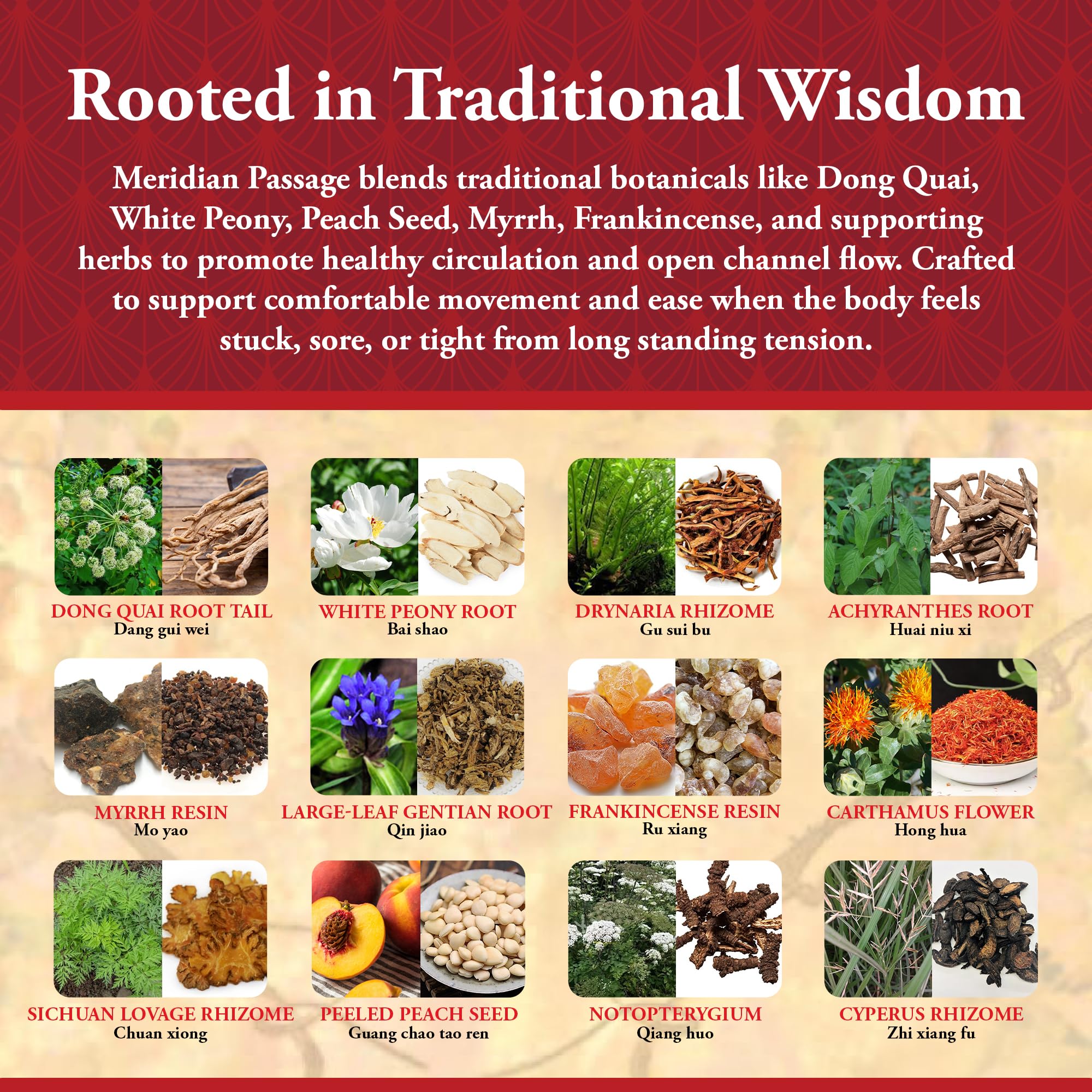 Dong Quai root focus in Meridian Passage for traditional balance