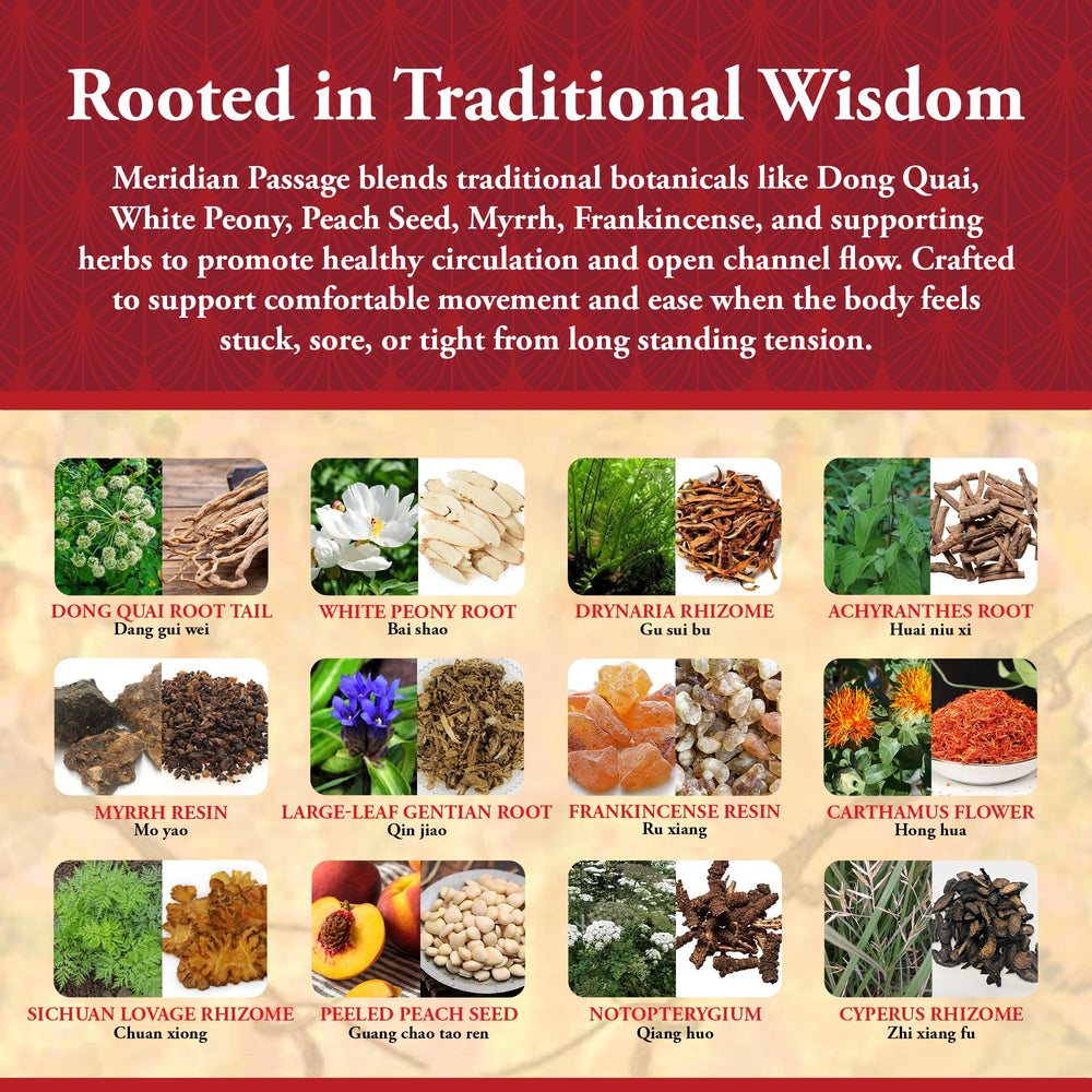 Dong Quai root focus in Meridian Passage for traditional balance