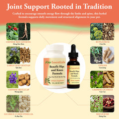 Administering Kan Herbs to a dog, ease of daily joint care.